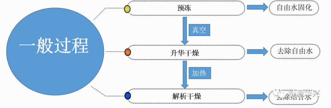 藥用凍干機